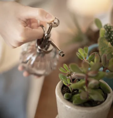 hibi.と過ごす、私の好きな時間。1