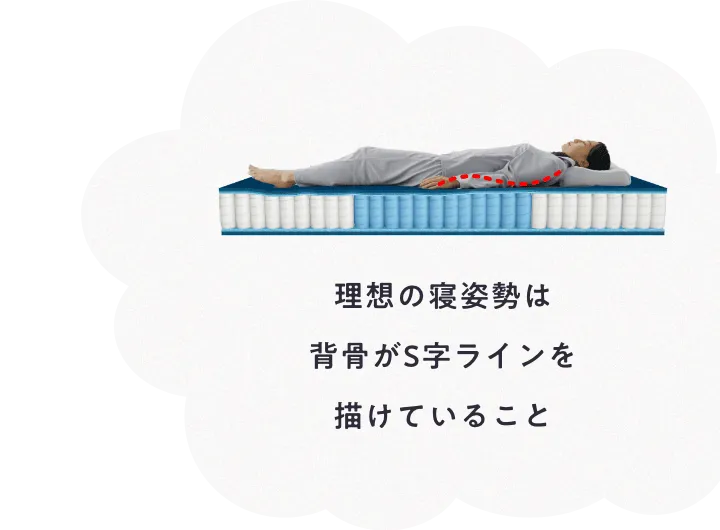 理想の寝姿勢は背骨がS字ラインを描けていること