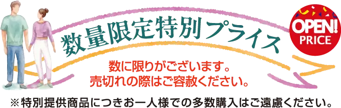 数量限定特別プライス