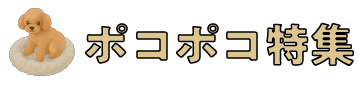 ポコポコ特集