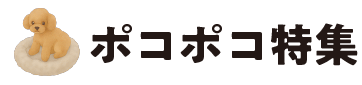 ポコポコ特集