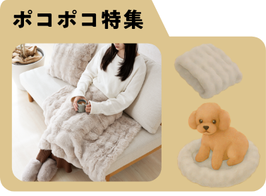 ポコポコ特集